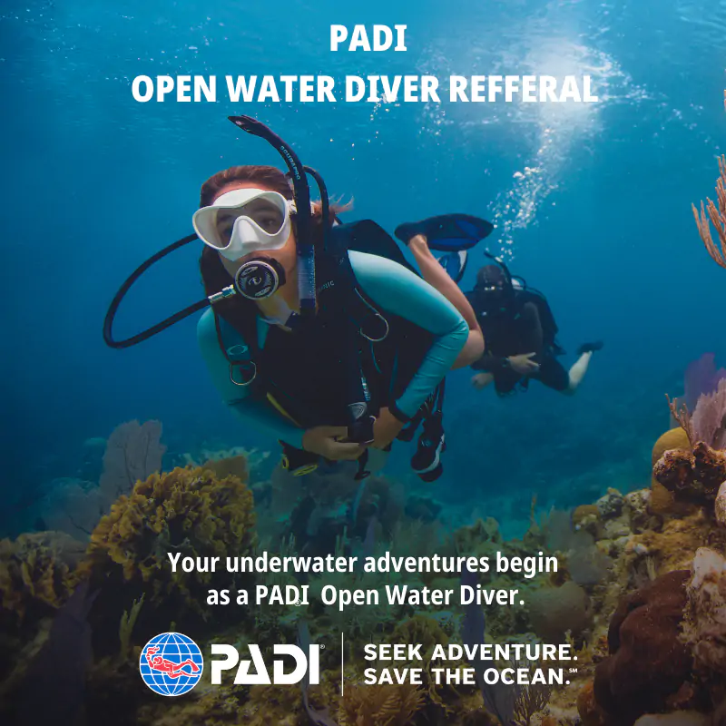 Open Water Course