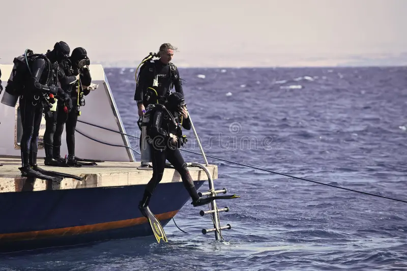 Boat Diving Daily Trips