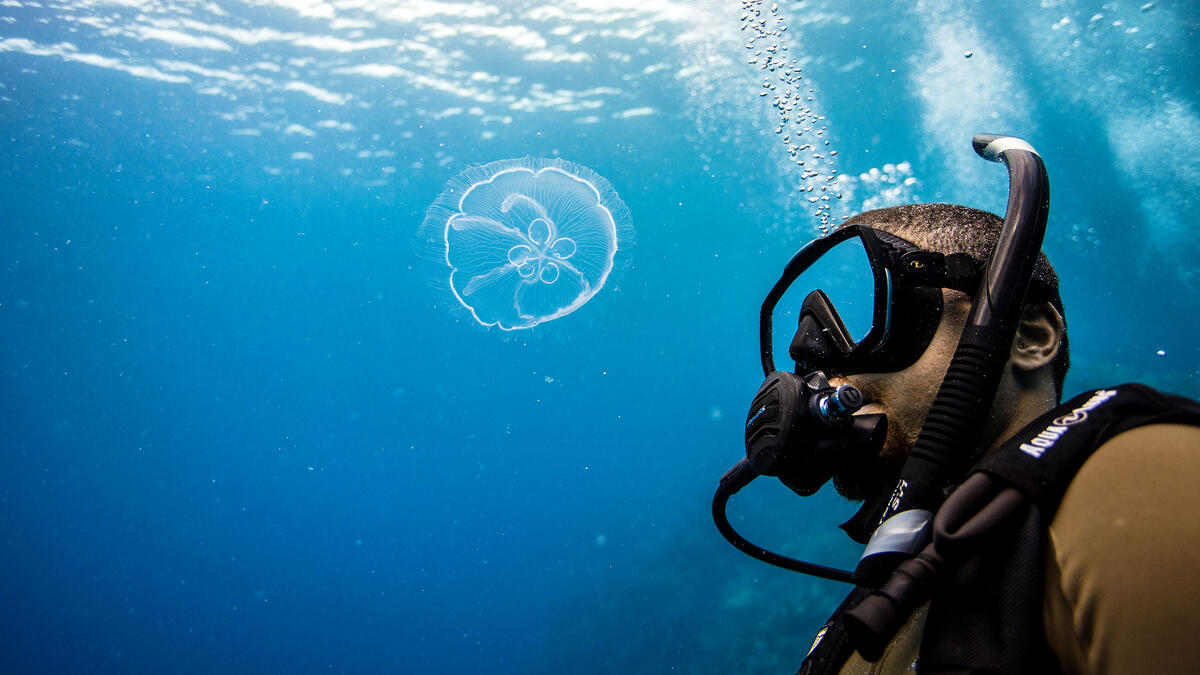 2 Dives
