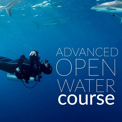 PADI Advanced Open Water Diver